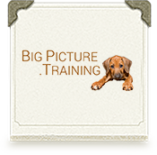 Training-Graphic_BigPicture