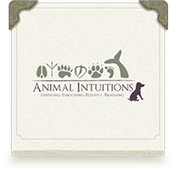 animal intuitions