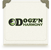 dogznharmony