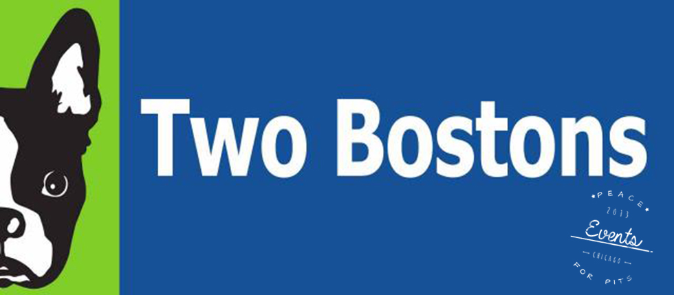 two bostons